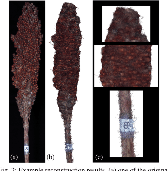 Figure 2 for 3D Reconstruction-Based Seed Counting of Sorghum Panicles for Agricultural Inspection