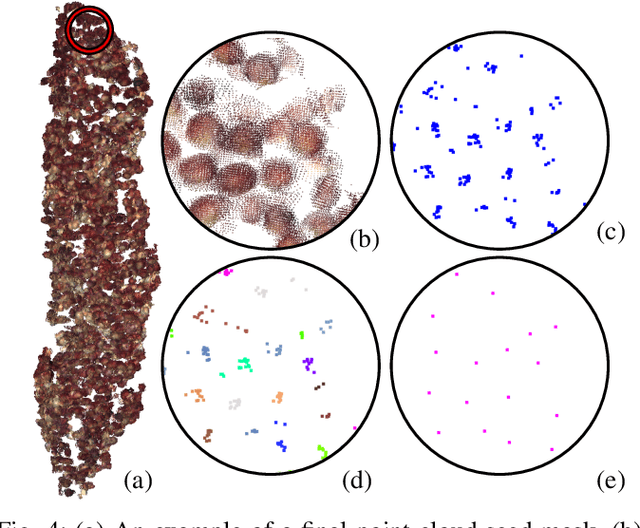 Figure 4 for 3D Reconstruction-Based Seed Counting of Sorghum Panicles for Agricultural Inspection
