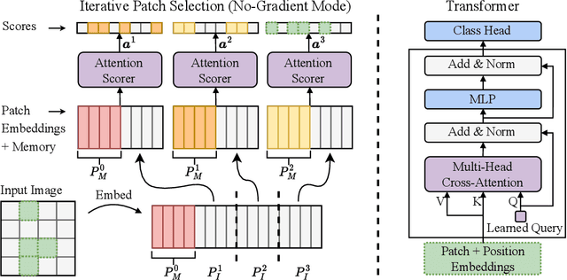 Figure 3 for Iterative Patch Selection for High-Resolution Image Recognition