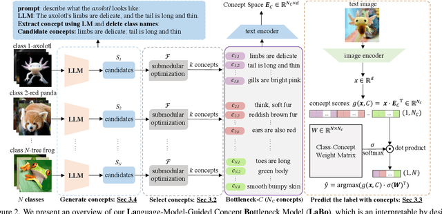 Figure 3 for Language in a Bottle: Language Model Guided Concept Bottlenecks for Interpretable Image Classification