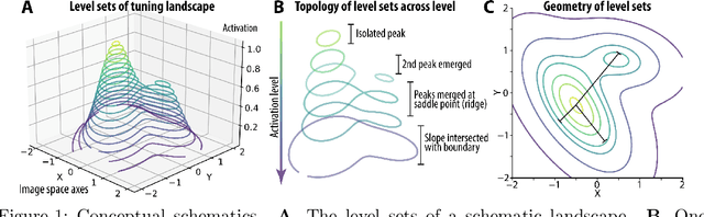 Figure 1 for On the Level Sets and Invariance of Neural Tuning Landscapes