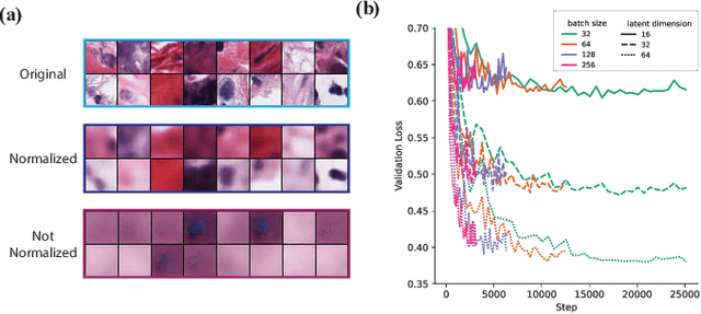 Figure 2 for Clinically Relevant Latent Space Embedding of Cancer Histopathology Slides through Variational Autoencoder Based Image Compression