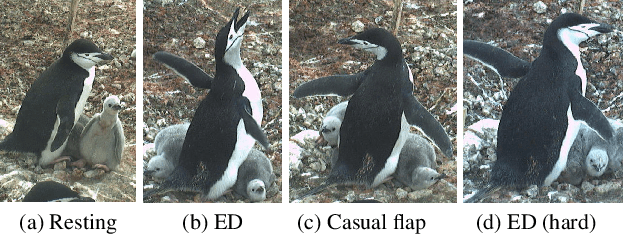 Figure 3 for Low-power, Continuous Remote Behavioral Localization with Event Cameras