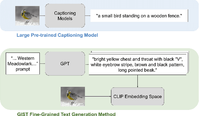 Figure 1 for Generating Image-Specific Text Improves Fine-grained Image Classification