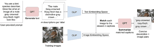 Figure 3 for Generating Image-Specific Text Improves Fine-grained Image Classification