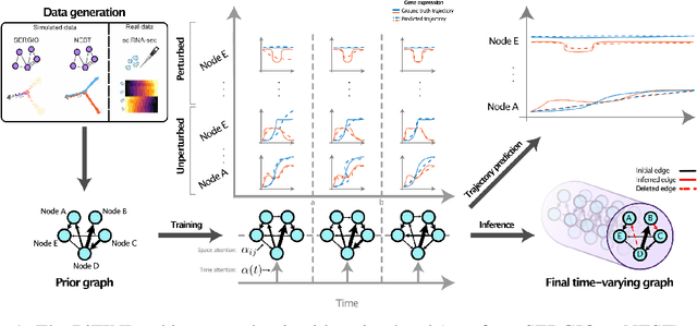 Figure 1 for Inferring dynamic regulatory interaction graphs from time series data with perturbations
