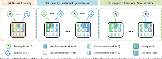 Figure 1 for Interpreting and Exploiting Functional Specialization in Multi-Head Attention under Multi-task Learning