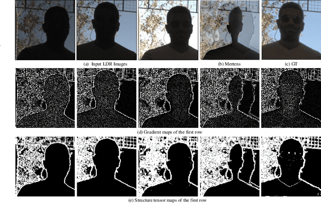 Figure 2 for Ghost-free High Dynamic Range Imaging via Hybrid CNN-Transformer and Structure Tensor