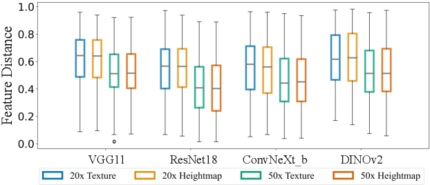 Figure 4 for LUWA Dataset: Learning Lithic Use-Wear Analysis on Microscopic Images