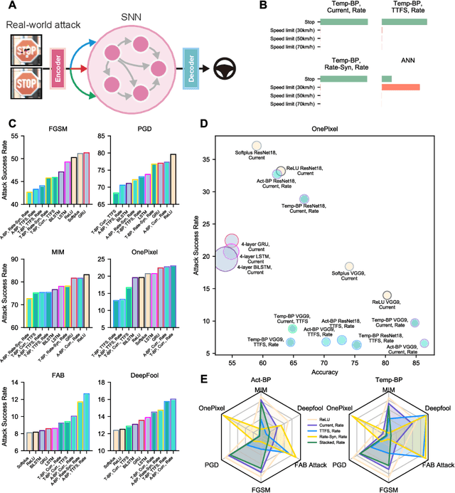 Figure 4 for Spike timing reshapes robustness against attacks in spiking neural networks