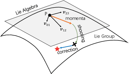 Figure 3 for MomentaMorph: Unsupervised Spatial-Temporal Registration with Momenta, Shooting, and Correction