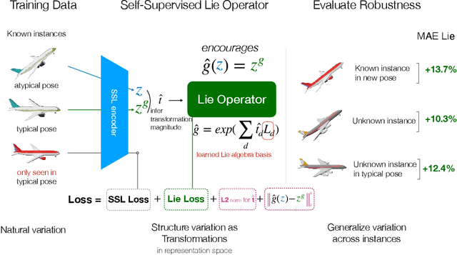 Figure 1 for Robust Self-Supervised Learning with Lie Groups