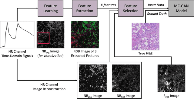 Figure 4 for Multi-Channel Feature Extraction for Virtual Histological Staining of Photon Absorption Remote Sensing Images