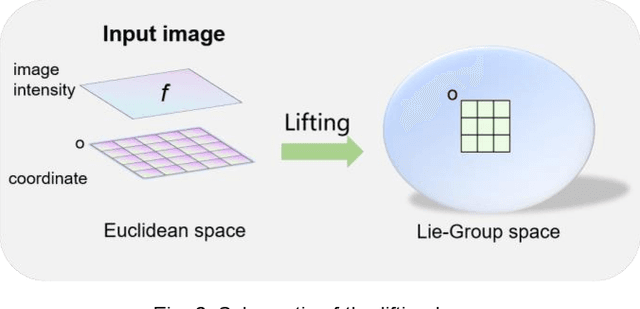 Figure 2 for Scale-Rotation-Equivariant Lie Group Convolution Neural Networks (Lie Group-CNNs)