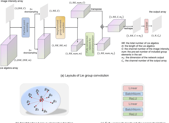 Figure 4 for Scale-Rotation-Equivariant Lie Group Convolution Neural Networks (Lie Group-CNNs)