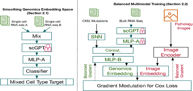 Figure 1 for Path-GPTOmic: A Balanced Multi-modal Learning Framework for Survival Outcome Prediction