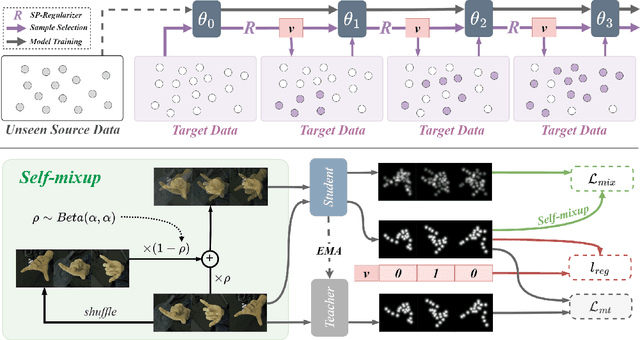 Figure 1 for MAPS: A Noise-Robust Progressive Learning Approach for Source-Free Domain Adaptive Keypoint Detection