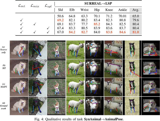 Figure 4 for MAPS: A Noise-Robust Progressive Learning Approach for Source-Free Domain Adaptive Keypoint Detection