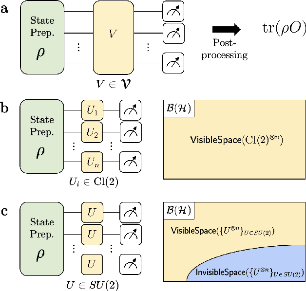 Figure 1 for Hardware-efficient learning of quantum many-body states