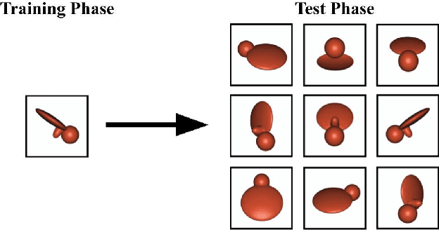 Figure 2 for A newborn embodied Turing test for view-invariant object recognition