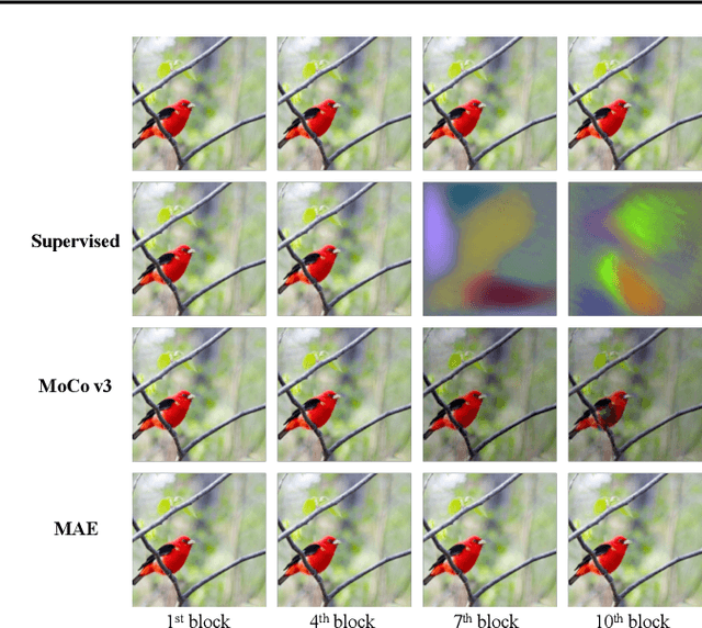 Figure 3 for Improving Visual Prompt Tuning for Self-supervised Vision Transformers