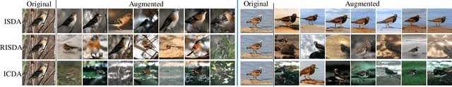 Figure 2 for Implicit Counterfactual Data Augmentation for Deep Neural Networks