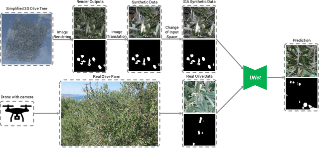 Figure 2 for Detecting Olives with Synthetic or Real Data? Olive the Above