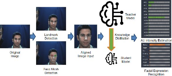 Figure 3 for LibreFace: An Open-Source Toolkit for Deep Facial Expression Analysis