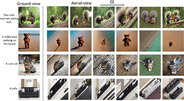 Figure 3 for Aerial Diffusion: Text Guided Ground-to-Aerial View Translation from a Single Image using Diffusion Models