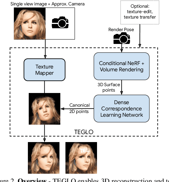Figure 3 for TEGLO: High Fidelity Canonical Texture Mapping from Single-View Images