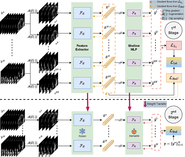 Figure 3 for CoReEcho: Continuous Representation Learning for 2D+time Echocardiography Analysis