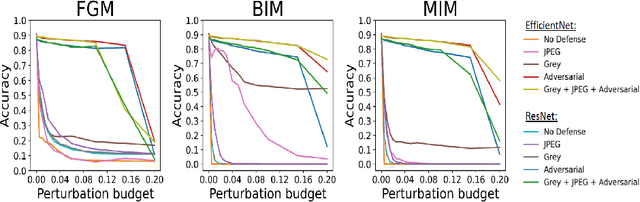 Figure 3 for Evaluating Adversarial Robustness on Document Image Classification