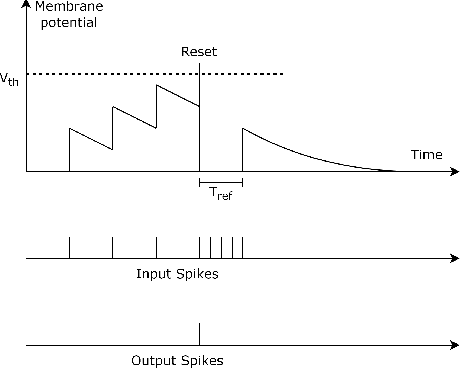 Figure 3 for Spiking Neural Networks and Bio-Inspired Supervised Deep Learning: A Survey