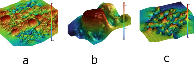Figure 1 for Machine learning and Topological data analysis identify unique features of human papillae in 3D scans