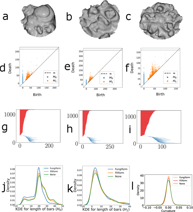 Figure 3 for Machine learning and Topological data analysis identify unique features of human papillae in 3D scans
