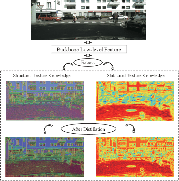 Figure 1 for Structural and Statistical Texture Knowledge Distillation for Semantic Segmentation