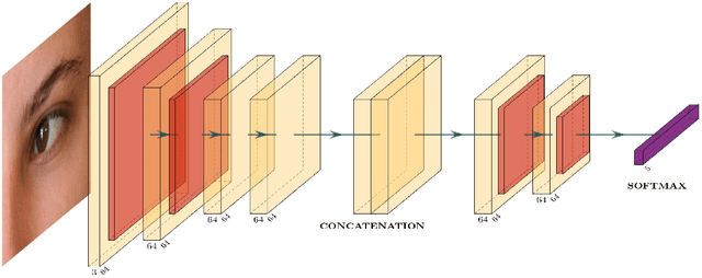 Figure 3 for Few-Shot Learning for Biometric Verification