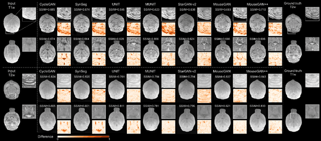 Figure 4 for MouseGAN++: Unsupervised Disentanglement and Contrastive Representation for Multiple MRI Modalities Synthesis and Structural Segmentation of Mouse Brain