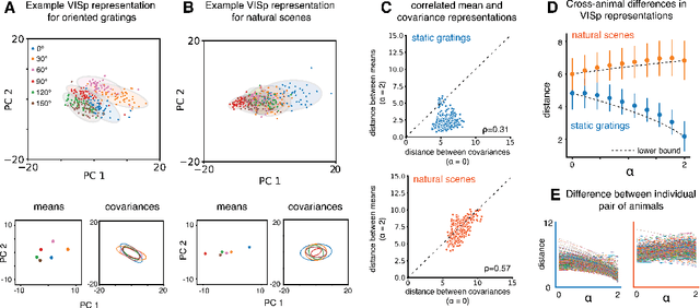 Figure 3 for Representational dissimilarity metric spaces for stochastic neural networks