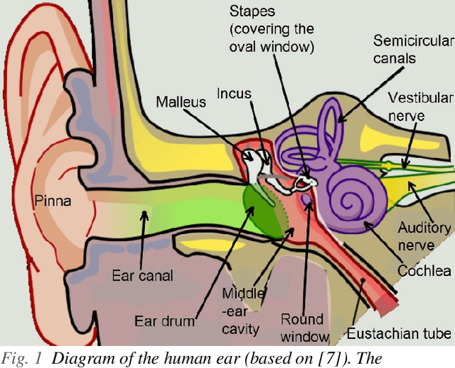 Figure 1 for The Human Auditory System and Audio
