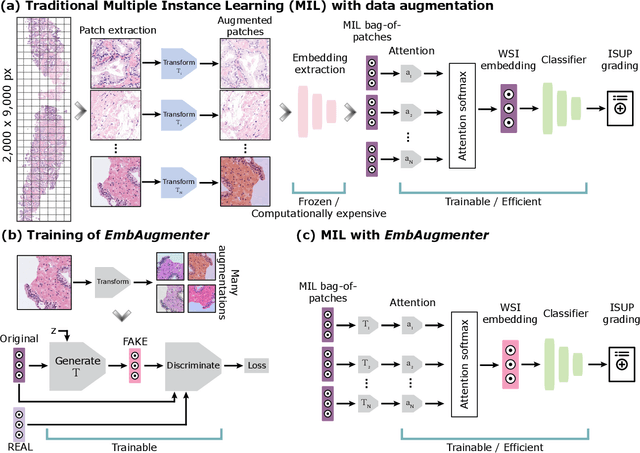 Figure 3 for Embedding Space Augmentation for Weakly Supervised Learning in Whole-Slide Images