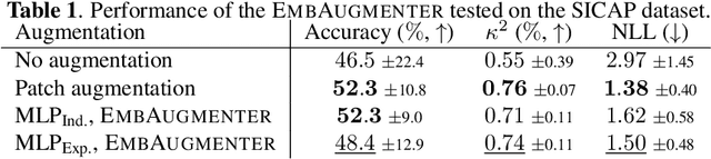 Figure 2 for Embedding Space Augmentation for Weakly Supervised Learning in Whole-Slide Images