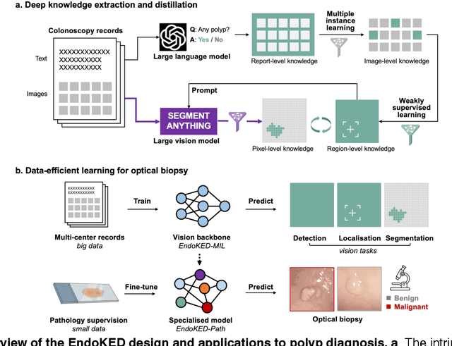 Figure 1 for Knowledge Extraction and Distillation from Large-Scale Image-Text Colonoscopy Records Leveraging Large Language and Vision Models
