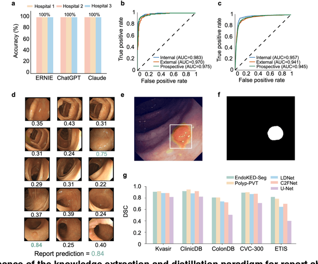 Figure 3 for Knowledge Extraction and Distillation from Large-Scale Image-Text Colonoscopy Records Leveraging Large Language and Vision Models