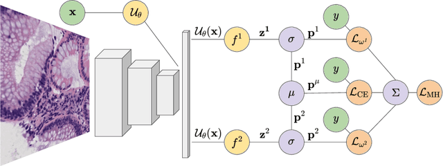 Figure 1 for Multi-Head Multi-Loss Model Calibration