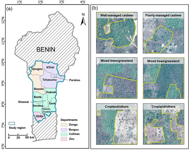 Figure 1 for Mapping smallholder cashew plantations to inform sustainable tree crop expansion in Benin