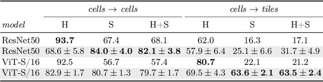 Figure 4 for Self-Supervised Learning-Based Cervical Cytology Diagnostics in Low-Data Regime and Low-Resource Setting