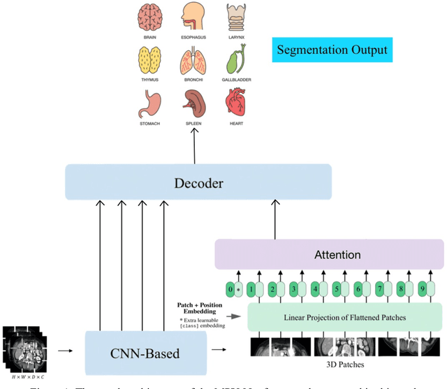 Figure 1 for 3D Medical Image Segmentation based on multi-scale MPU-Net