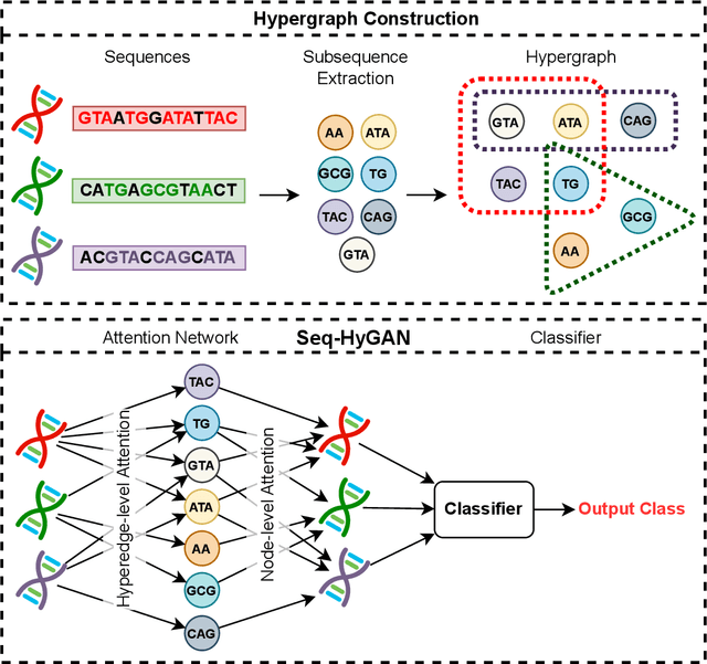 Figure 3 for Seq-HyGAN: Sequence Classification via Hypergraph Attention Network