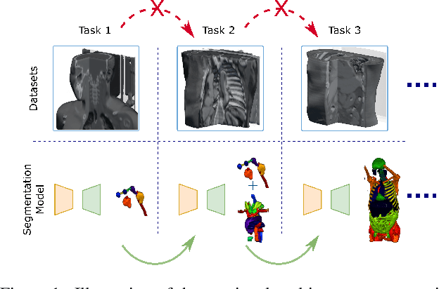 Figure 1 for Continual Segment: Towards a Single, Unified and Accessible Continual Segmentation Model of 143 Whole-body Organs in CT Scans
